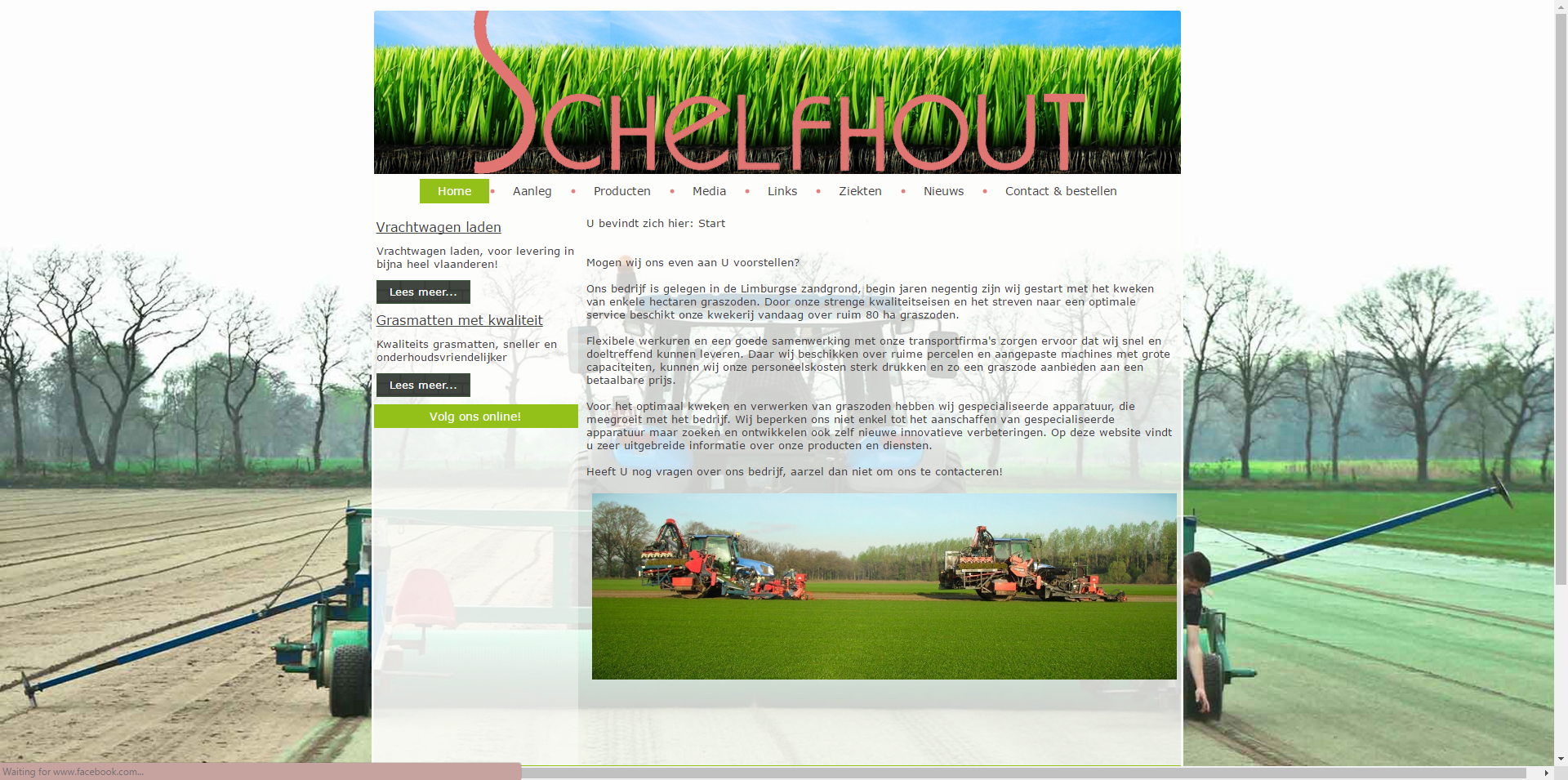 Schelfhout
